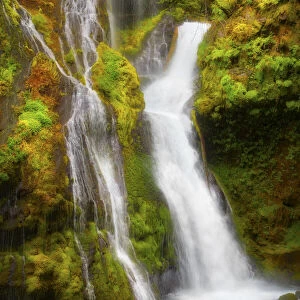 USA, Washington State, Gifford Pinchot National Forest. Panther Creek Falls along Panther Creek