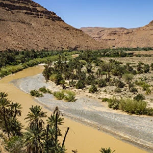 Ziz Valley, Morocco. Ziz Valley Gorge and palm trees