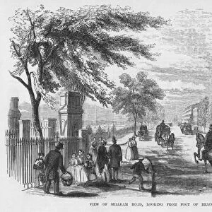 BOSTON, MASSACHUSETTS. View of Milldam Road, looking from foot of Beacon Street. Wood engraving, 1855