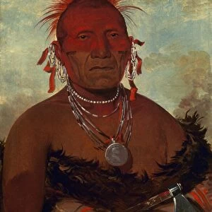 CATLIN: PAWNEE CHIEF. Shon-ka-ki-he-ga, Horse Chief, Grand Pawnee Head Chief: canvas