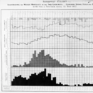 Chart illustrating the weekly mortality rates from smallpox (bottom) and meningitis in New York City over the course of the year 1872, correlated to humidity (top) and temperature. Contemporary lithograph