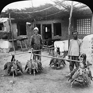 CHINA: HAWK SELLERS, 1907. Mongolian hawk-sellers with falcons for sale as pets at Peking, China