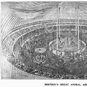CIRCUS ARENA, c1901. Frank C. Bostocks great animal arena. Line engraving, c1901