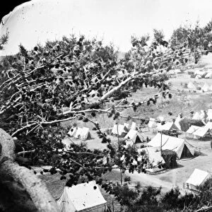 CIVIL WAR: UNION CAMP. Union camp viewed from a tree in Cumberland Landing, Virginia