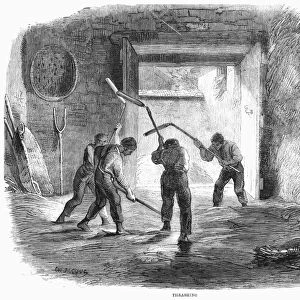 FARMING: THRESHING WHEAT. Threshing with hand flails. Wood engraving, 1859