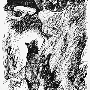 KIPLING: THE JUNGLE BOOK. Illustration by W. H. Drake for The Jungle Book, 1894