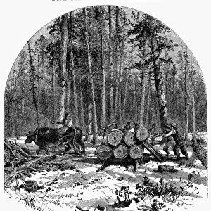 MINNESOTA: LUMBERING, 1868. In the pine forests of Minnesota. Wood engraving, 1868