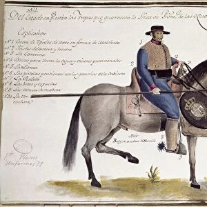 NEW SPAIN: CAVALRY UNIFORM. Cavalry Uniform of New Spain, illustration by an anonymous artist