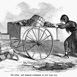 NEW YORK: POVERTY, 1866. The swill and garbage gatherers of New York City. Wood engraving, 1866