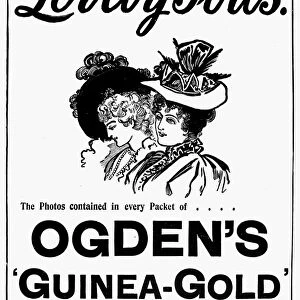 OGDENs CIGARETTES, 1897. Ogdens Guinea Gold cigarettes. British newspaper advertisement