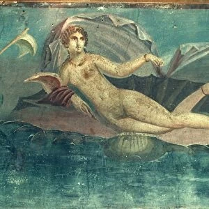 POMPEII, ITALY: VENUS. House of Venus / Fresco of Venus in the Shell