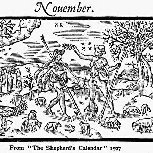 SHEPHERD, 1597. Month of November from The Shepherds Calendar. Woodcut, 1597