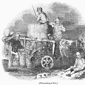WINE HARVEST, 1830s. Winemaking in Istria, a peninsula of Northwest Croatia, in the 19th century part of the Austrian Empire. Wood engraving, English, 1830s