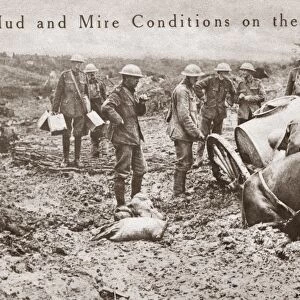 WORLD WAR I: FLANDERS. A horse sunk up to its haunches in mud on a field in Flanders