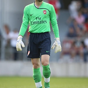 Manuel Almunia: Arsenal's Determined Goalkeeper in Action