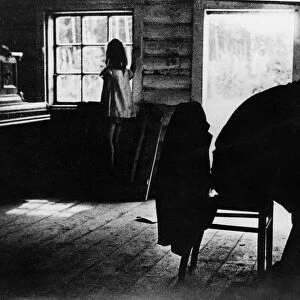 1943, soviet composer dmitri shostakovich working in his little chicken coop studio, of which he is very fond, as his daughter gazes out of the window, in the summer of 1943, the soviet government turned over to the union of soviet composers a small state farm near ivanovo, to serve as an auxiliary farm and a summer creative center for composers, it is a fine estate, with main house, numerous outbuildings, poultry farm, extensive kitchen gardens and a lovely flower garden, that summer, dmitri shostakovich, reinhold gliere, aram khachaturian, and nina makarova, lived there with their families and carried on their musical work