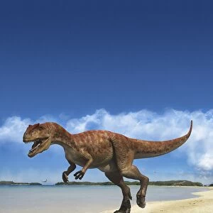 Allosaurus on beach in prehistoric landscape