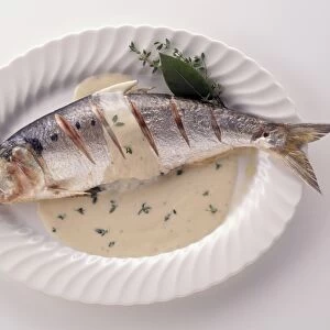 Alose a l Oseille, grilled shad served with creamy sorrel sauce, a typical dish from the Loire Valley, France, view from above