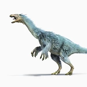Alxasaurus against white background, side view