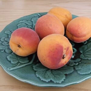 Apricots and peaches on plate
