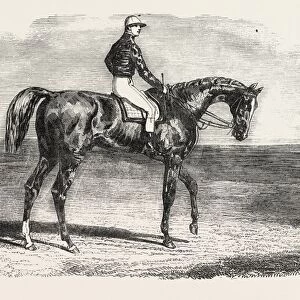 ASCOT RACES: WOOLWICH, THE WINNER OF THE EMPERORs VASE; Little Jack made all the running