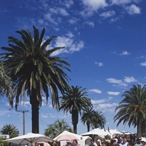 Australia, Melbourne, St Kilda Esplanade, crowds visiting crafts market on palm tree- lined boulevard
