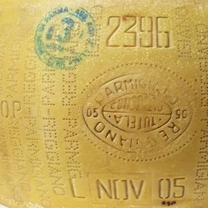 Authenticity and date produced stamp on Italian Parmigiano-ReggianoA
