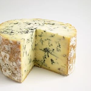 Baby Stilton, a British blue cheese made with cows milk, close-up