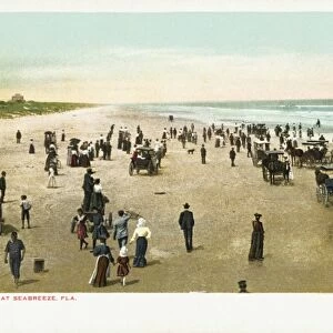 Beach at Seabreeze, Fla. Postcard. 1904, Beach at Seabreeze, Fla. Postcard