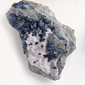 Blue benitoite crystals and white natrolite in rock groundmass