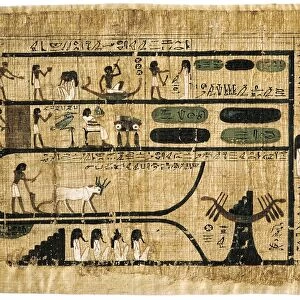 Book of the Dead on papyrus showing written hieroglyphs. Depiction of ploughing with