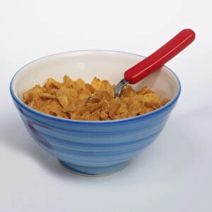 Bowl of breakfast cereals with spoon embedded