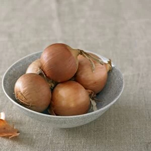 Bowl containing onions