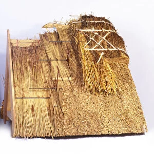 Building a thatched roof, model