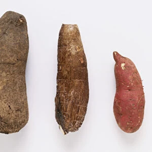 Cassava, yam and sweet potato, front view