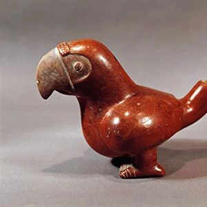 Ceramic figure of a parrot, Colima civilization, Mexico