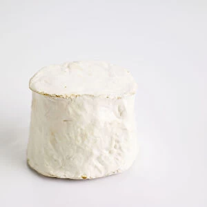 Chabis, French goats milk cheese from the Loire Poitou area