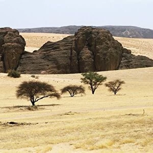 Chad, Ennedi Massif, surroundings of Guelta d Archei