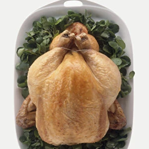 Chapon du Mans, spit roasted capon on bed of watercress, a traditional dish from Le Mans, France, view from above