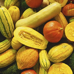 Close-up of whole pumpkins and other squashes, one sliced in half showing the inner flesh and seeds