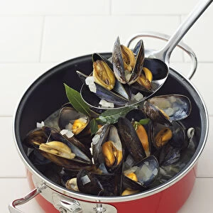Cooked mussels in pan and spoon, close-up