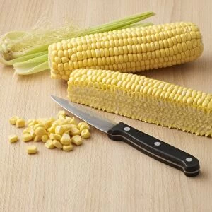 Corn cob with knife, close-up