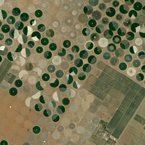 Crop Circles in the Desert, Saudi Arabia