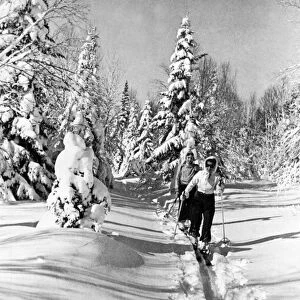 Cross Country Skiing In Canada