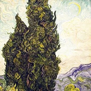 Cypresses by Vincent Van Gogh, 1889