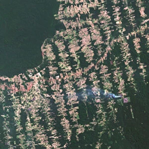 Deforestation in Para, Brazil