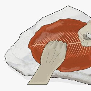Digital illustration of using hands to bone fish on rock outdoors