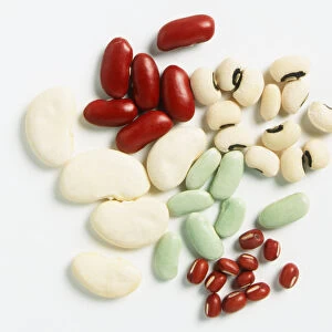 Dry Kidney Beans, Butter Beans, Adzuki Beans and Flageolet Beans, close up