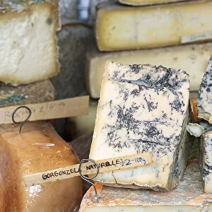 England, London, Borough Market, variety of cheese, close-up