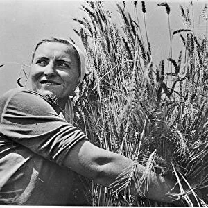 Female collective farmer smiling as she holds a sheaf of newly-harvested wheat. Krasnodar district